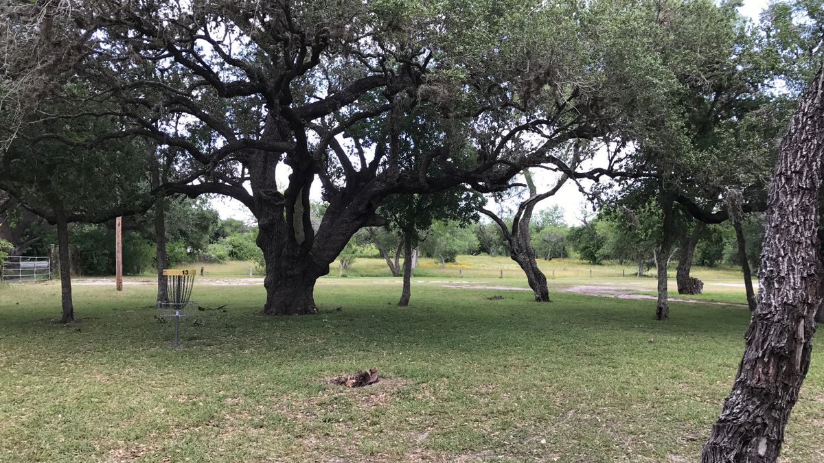 Hole 13