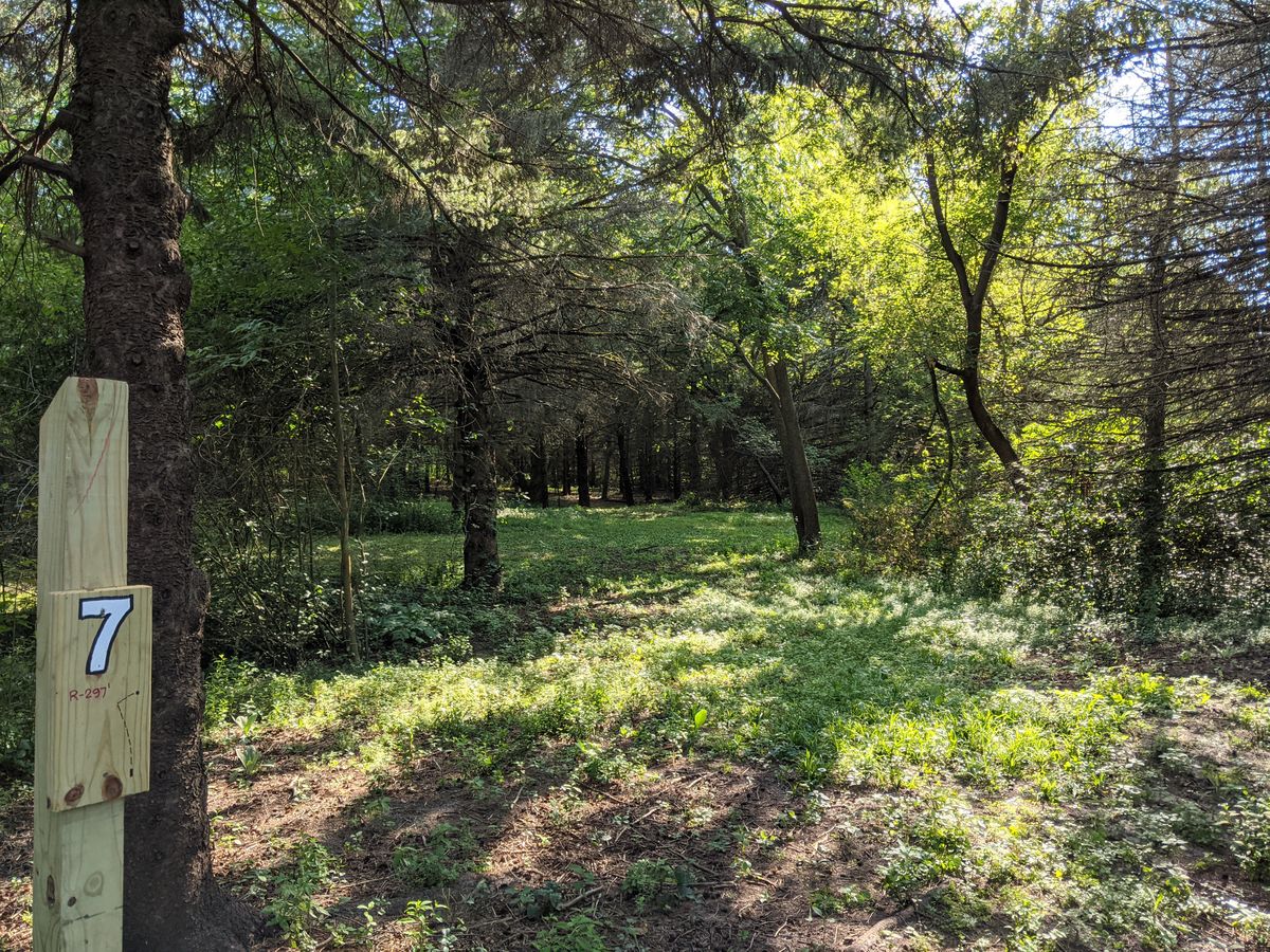 Hole #7 Red Tee