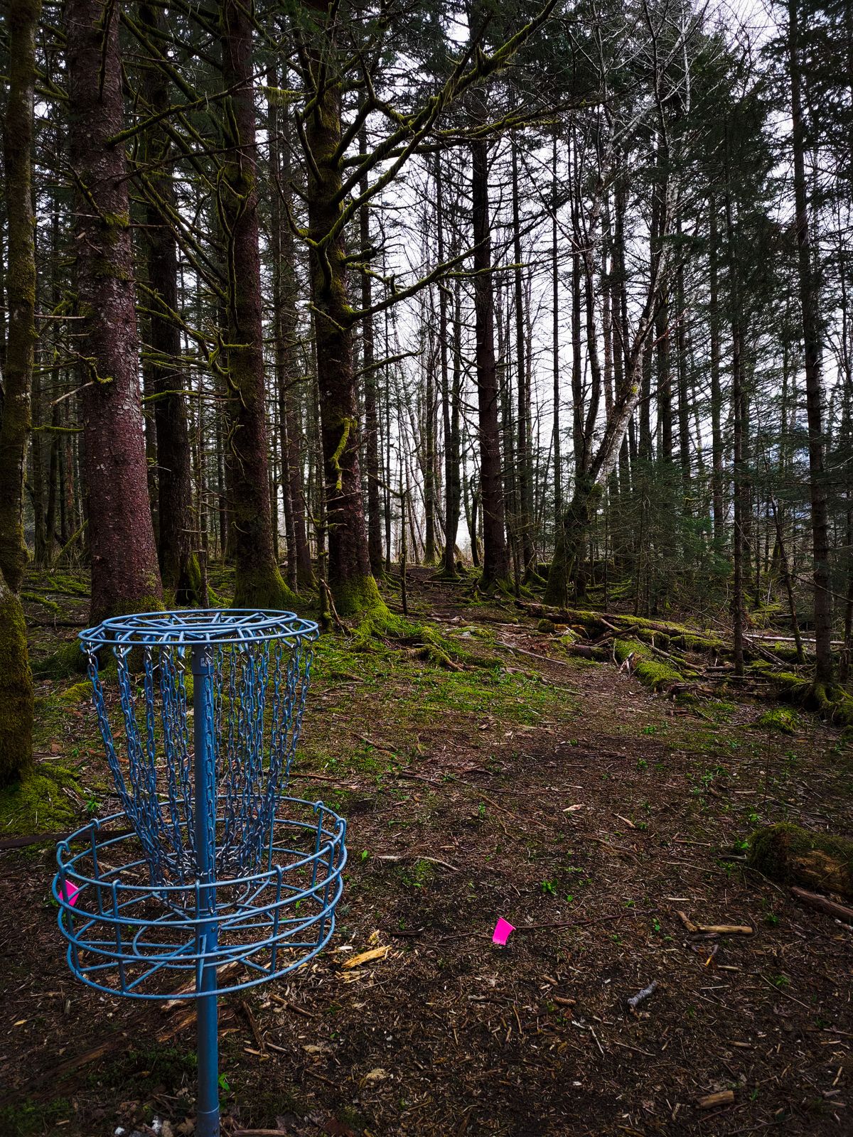 From the basket of Hole 4