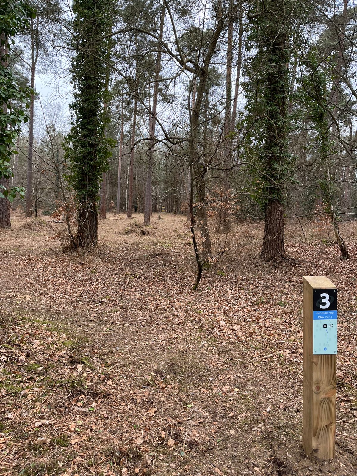 Tee 3 long