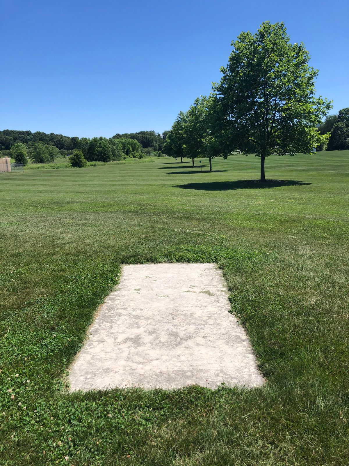 Hole 5