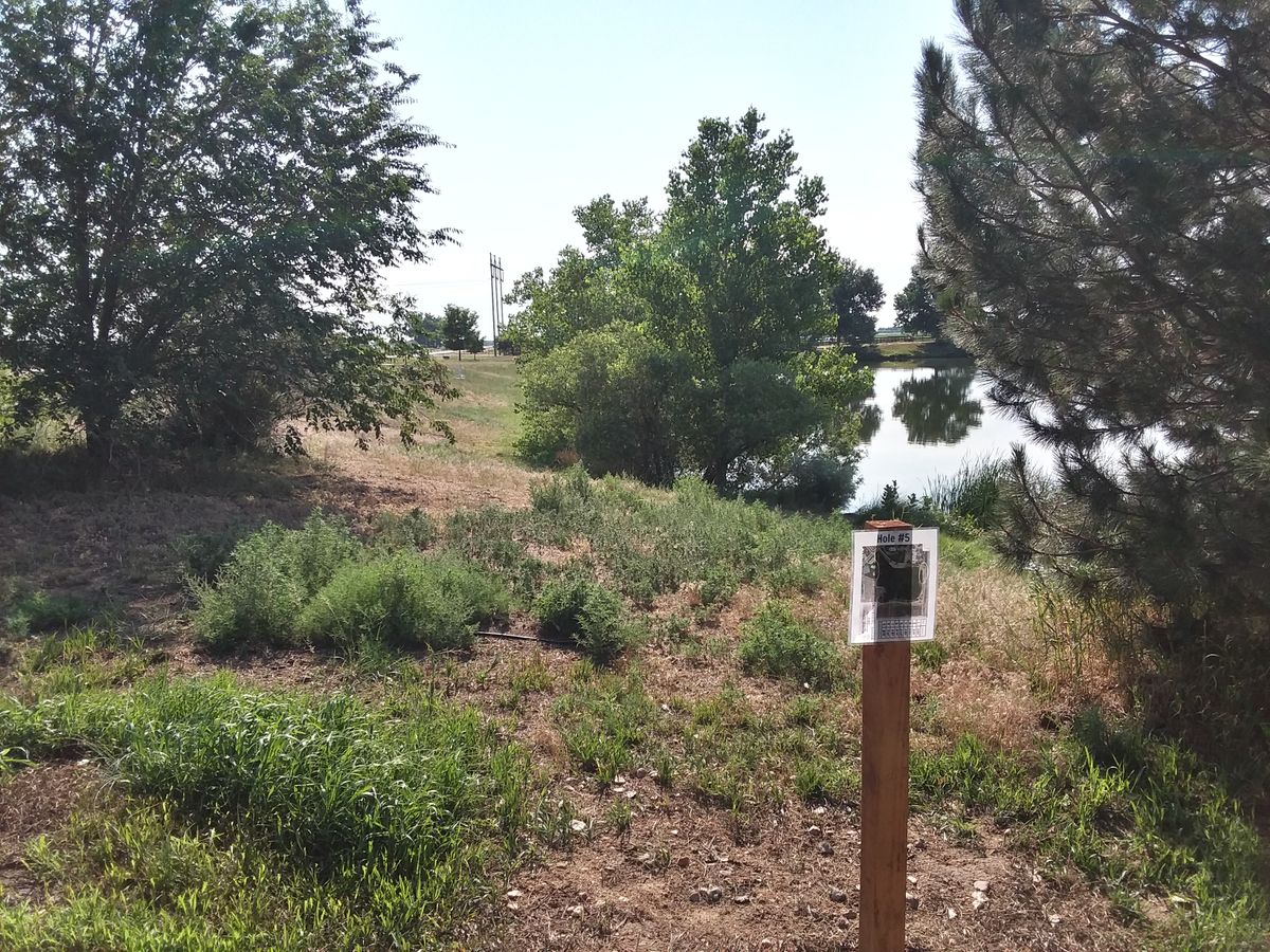 Hole 5 tee