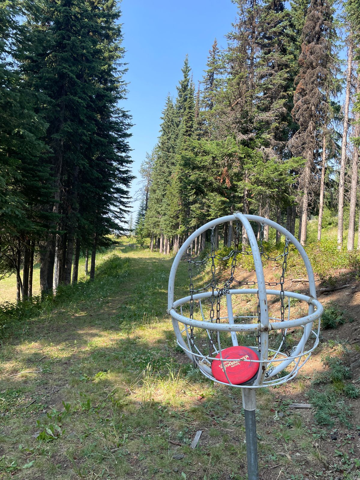 6th basket