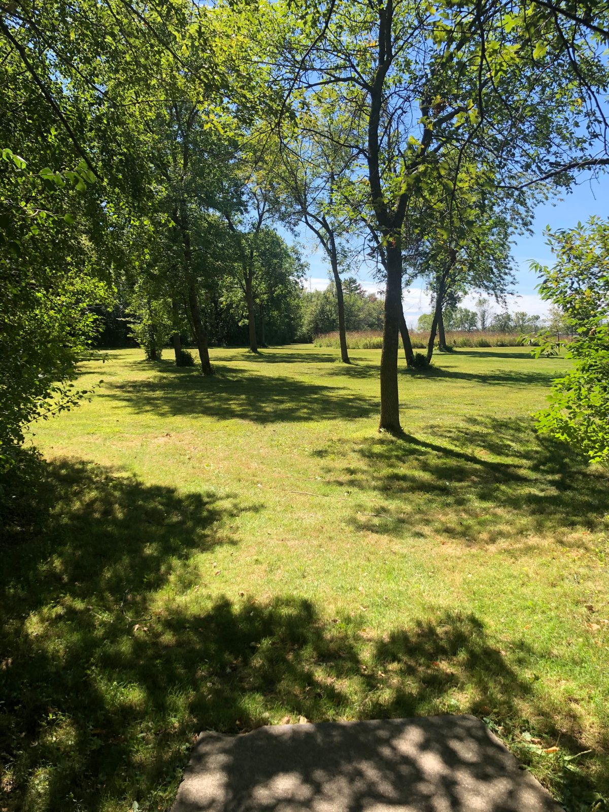 Hole 7