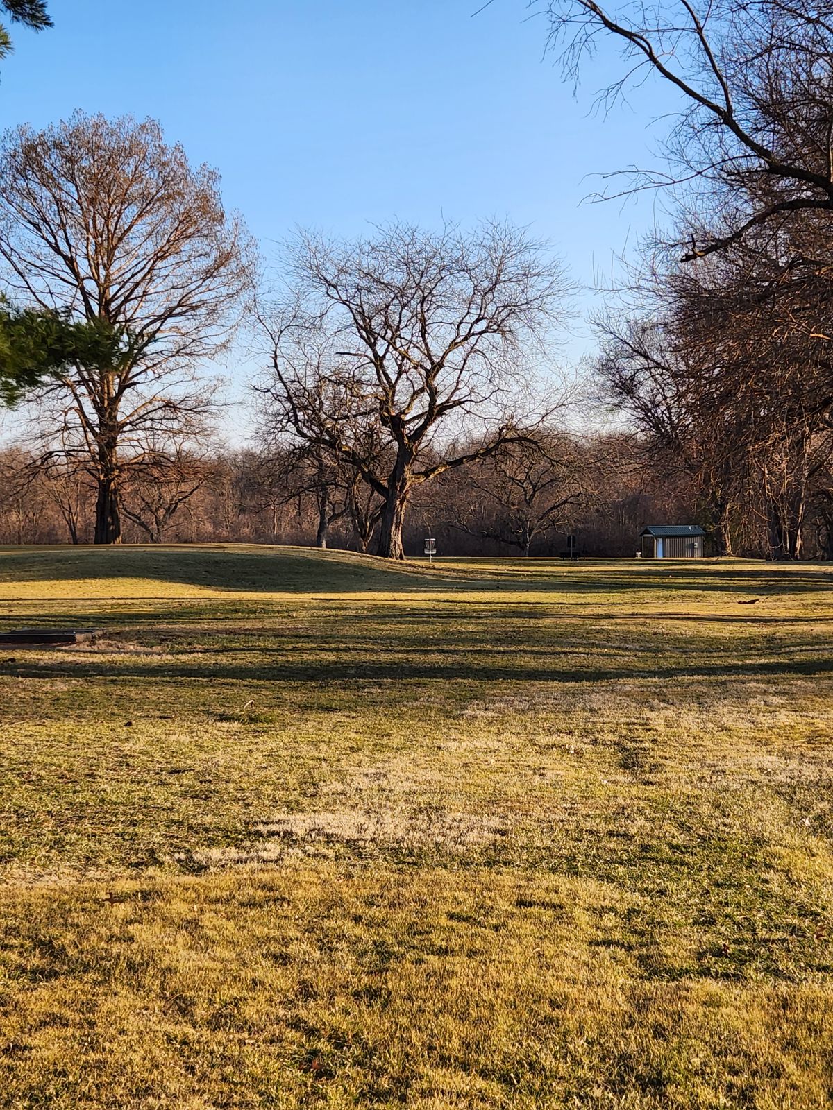 Hole 5 looking at the basket from tee. OB golf green on left.