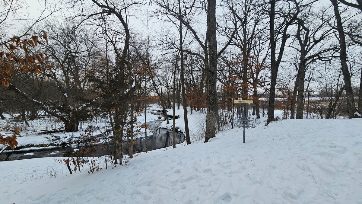 Hole 15 short behind the basket towards the tee pad