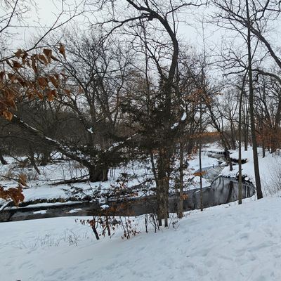 Hole 15 short behind the basket towards the tee pad