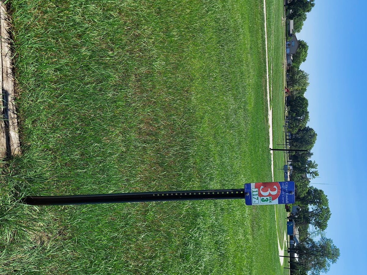 Hole 3 teepad over a path, short 99'  open shot