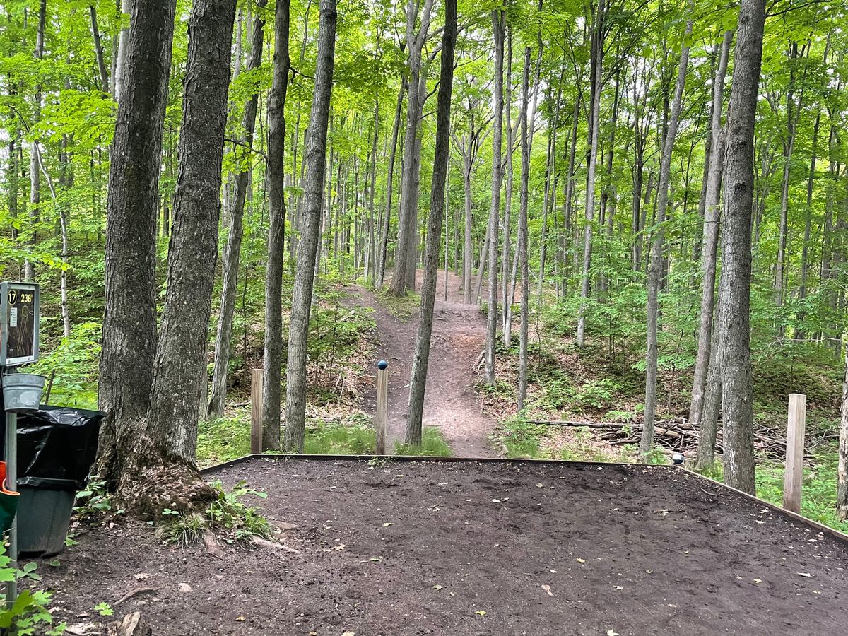 17s oft muddy tee box, basket up the second lil hill