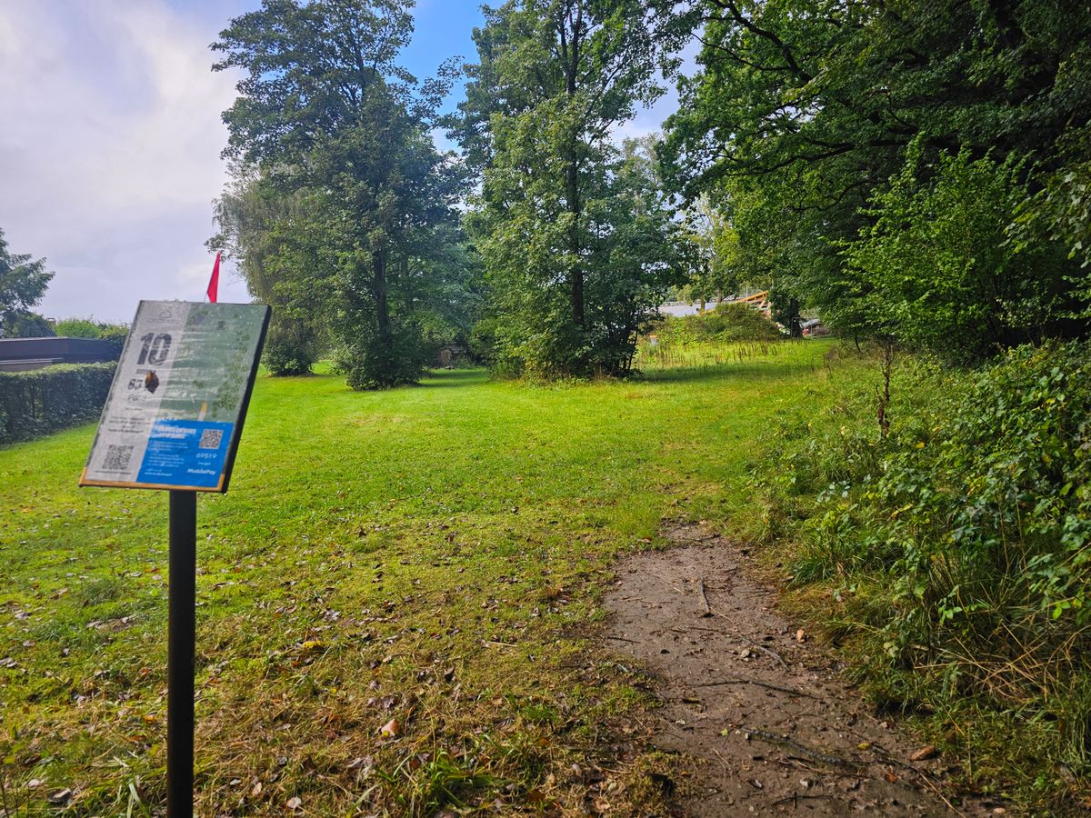 Tee 10