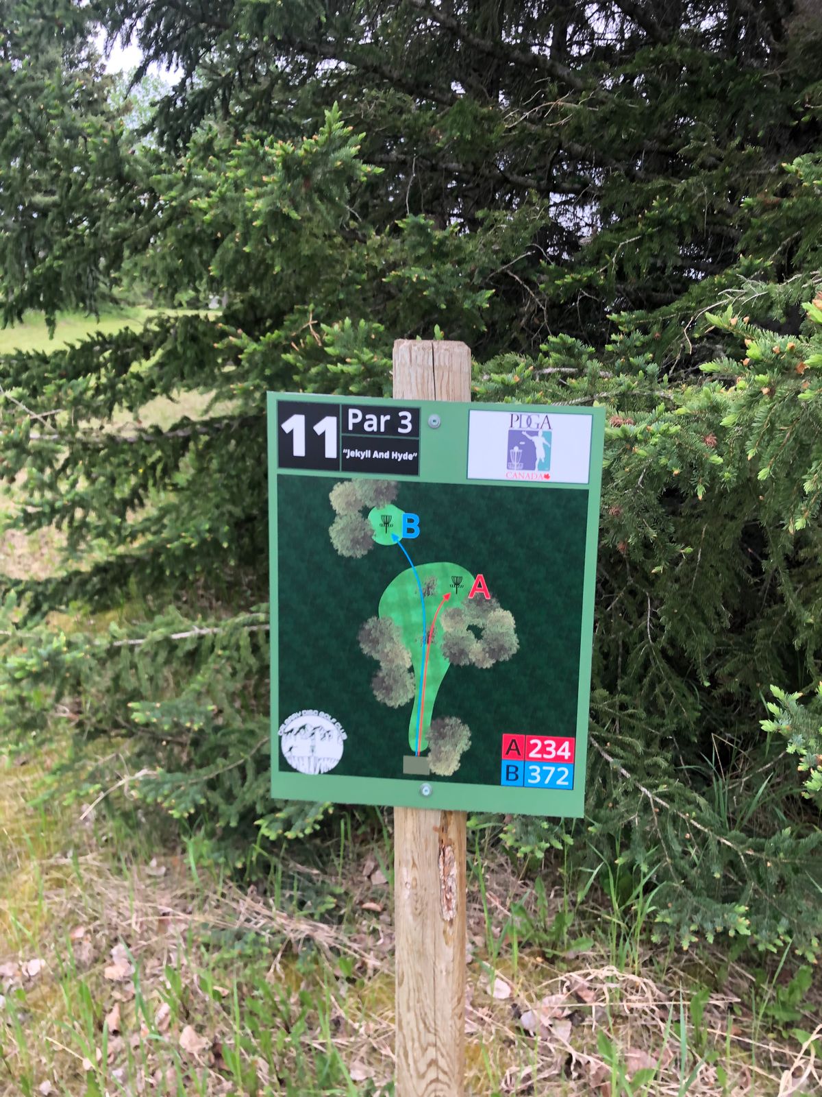 Tee sign hole 11