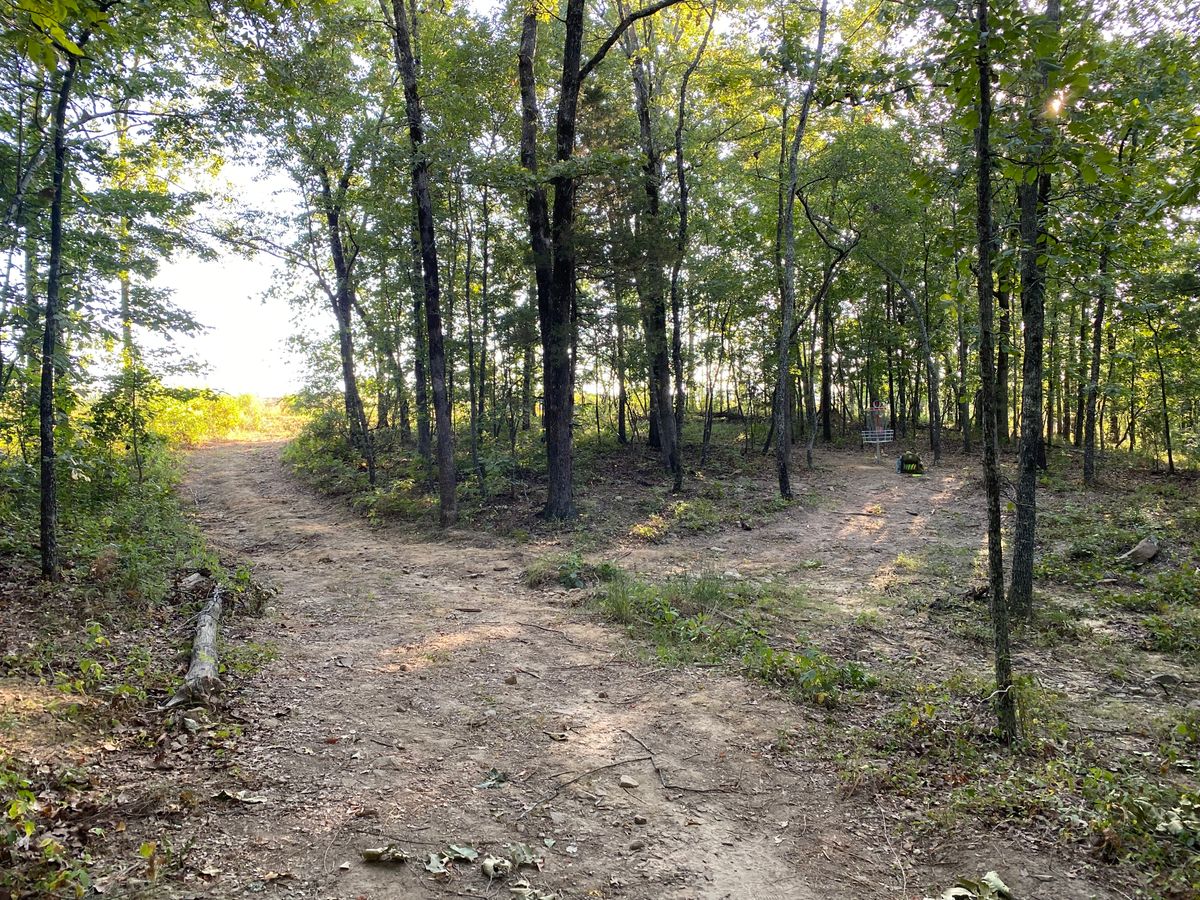 View of the lane and basket on 11. Fun, yet challenging hole
