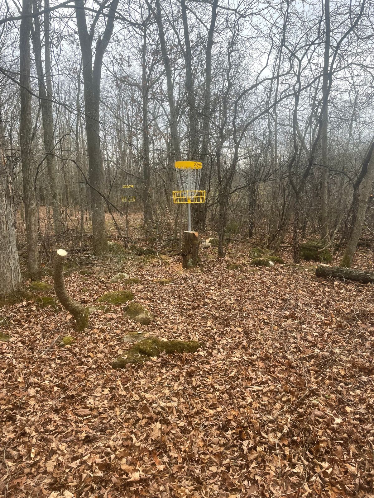 Hole 16