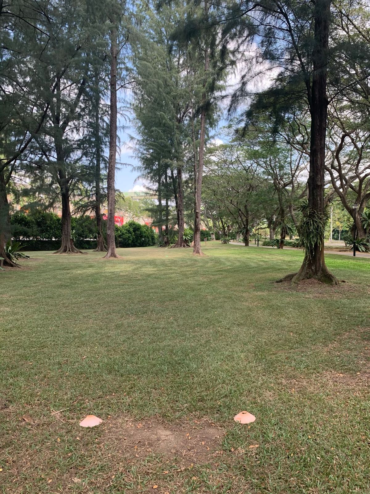 Hole 14 Tee