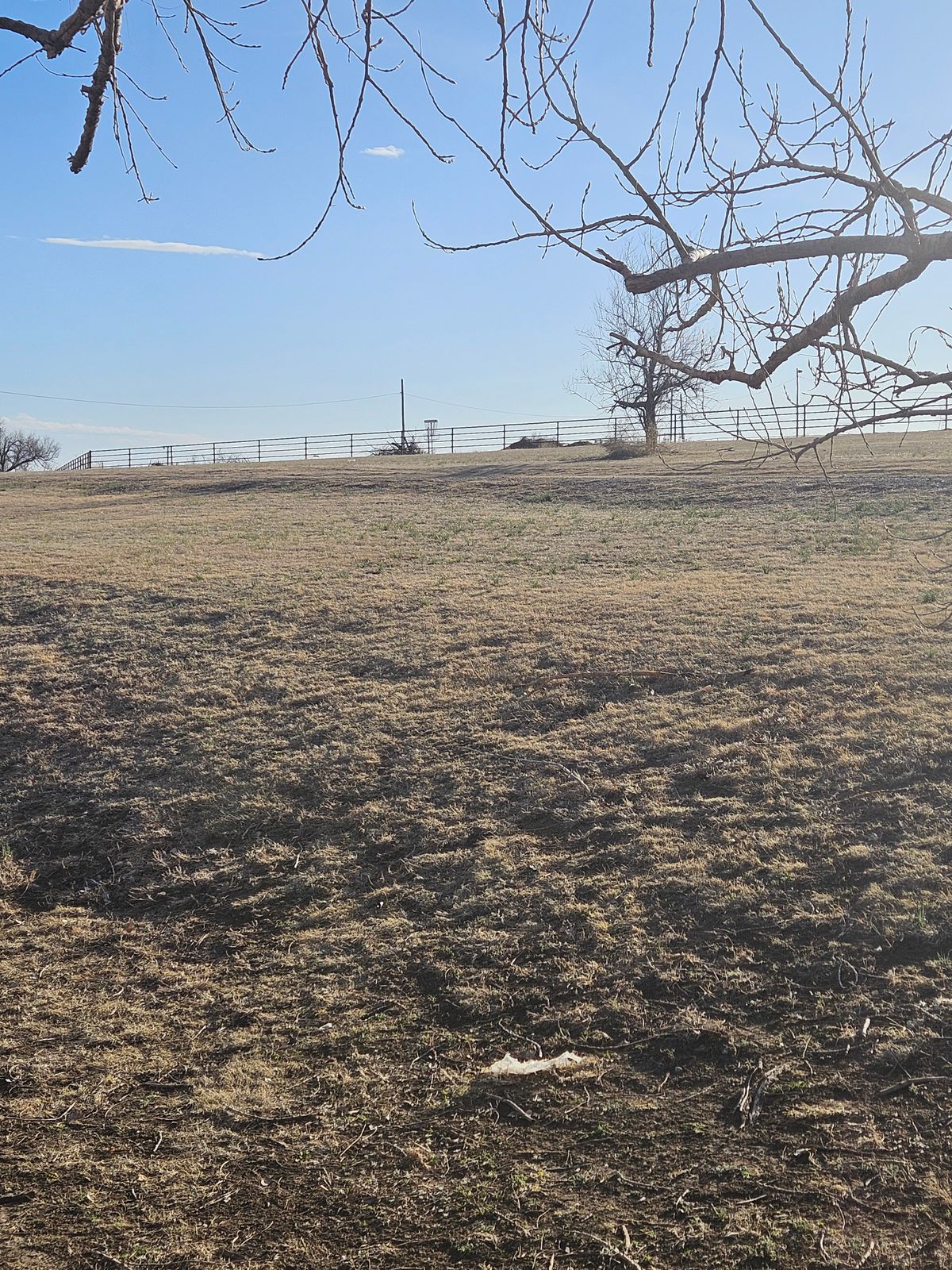 Standing on tee #5