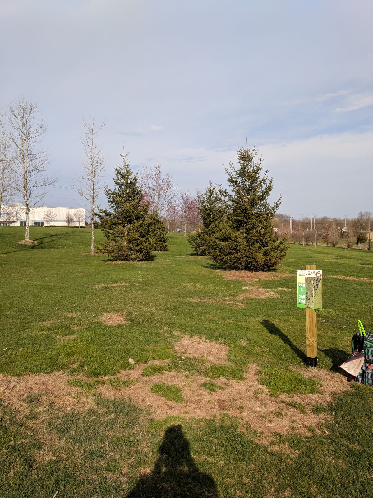 Hole #6 fairway, straight through the trees, over the trees or forehand to the left.