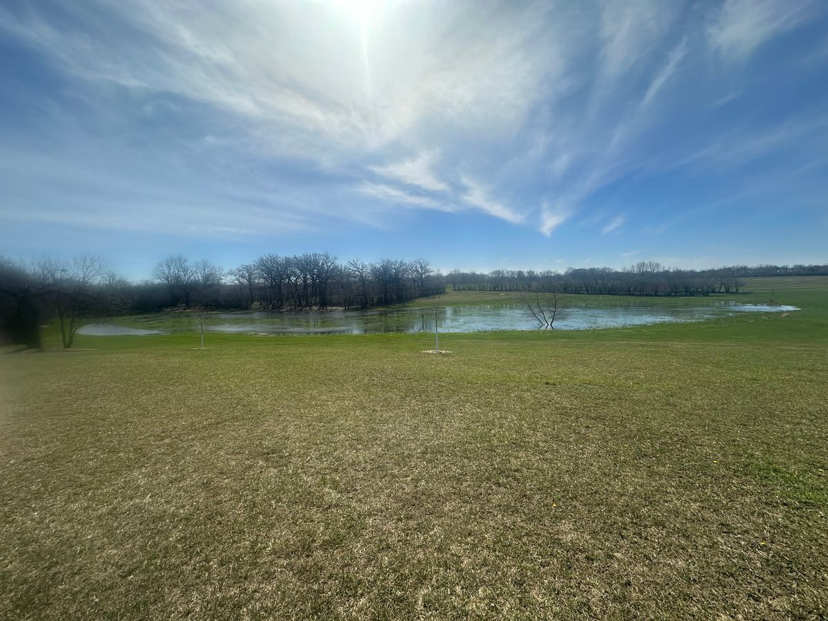 From hole11 looking north