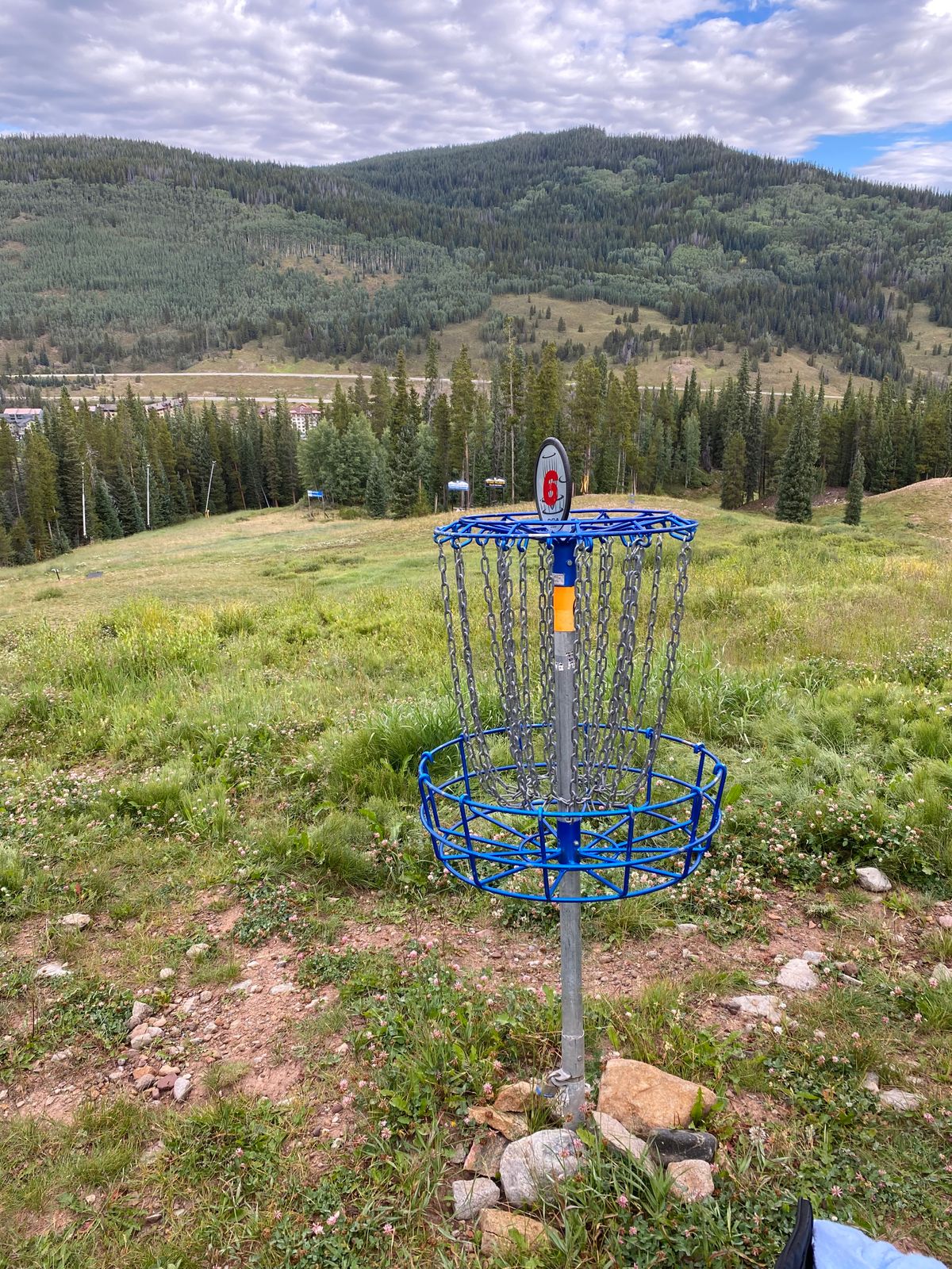 Hole 6 basket. Basically the top of the hill