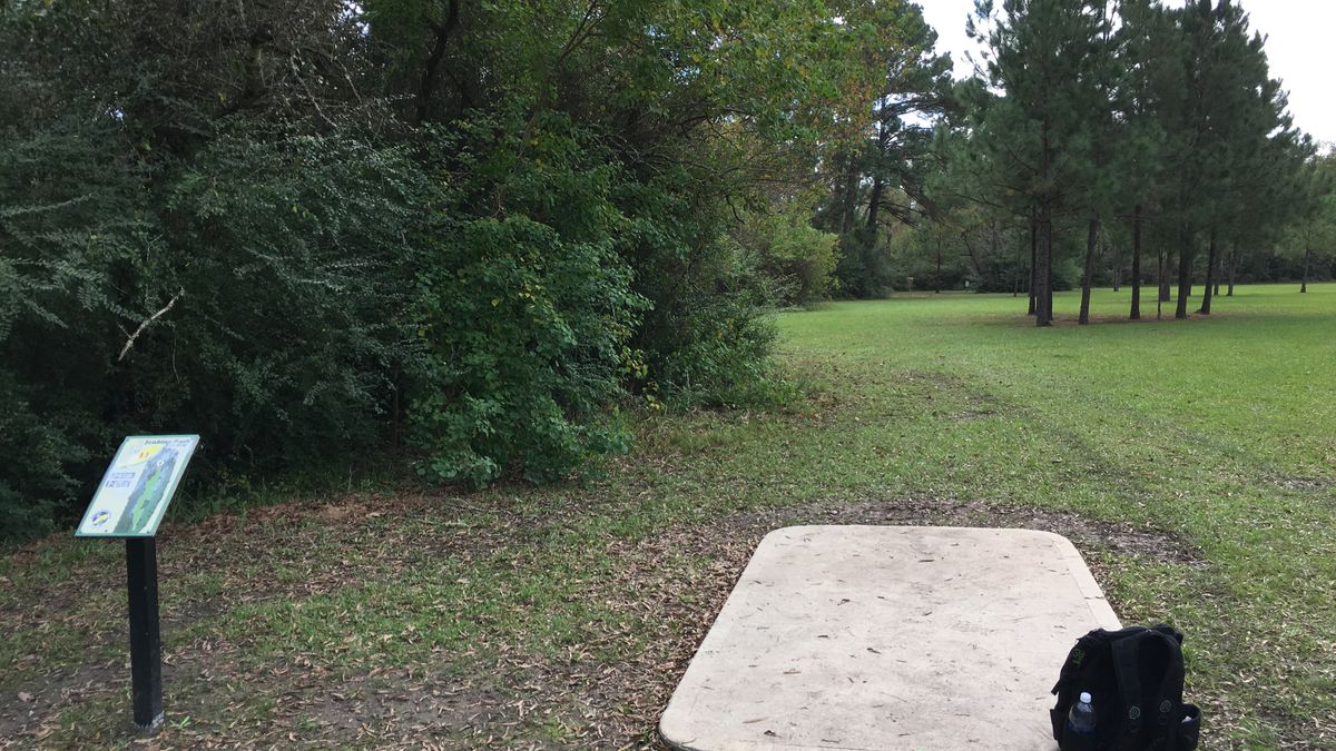Hole 11