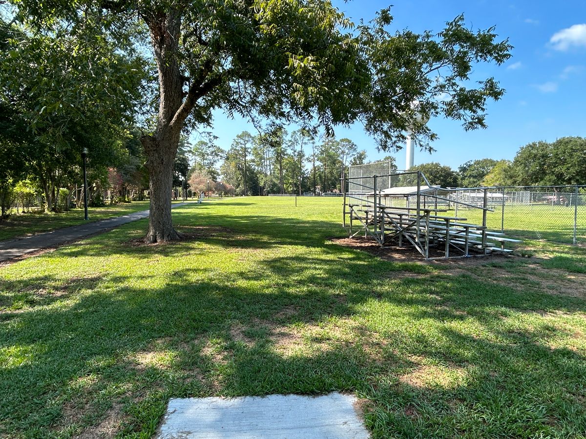 Hole 8 Fairway