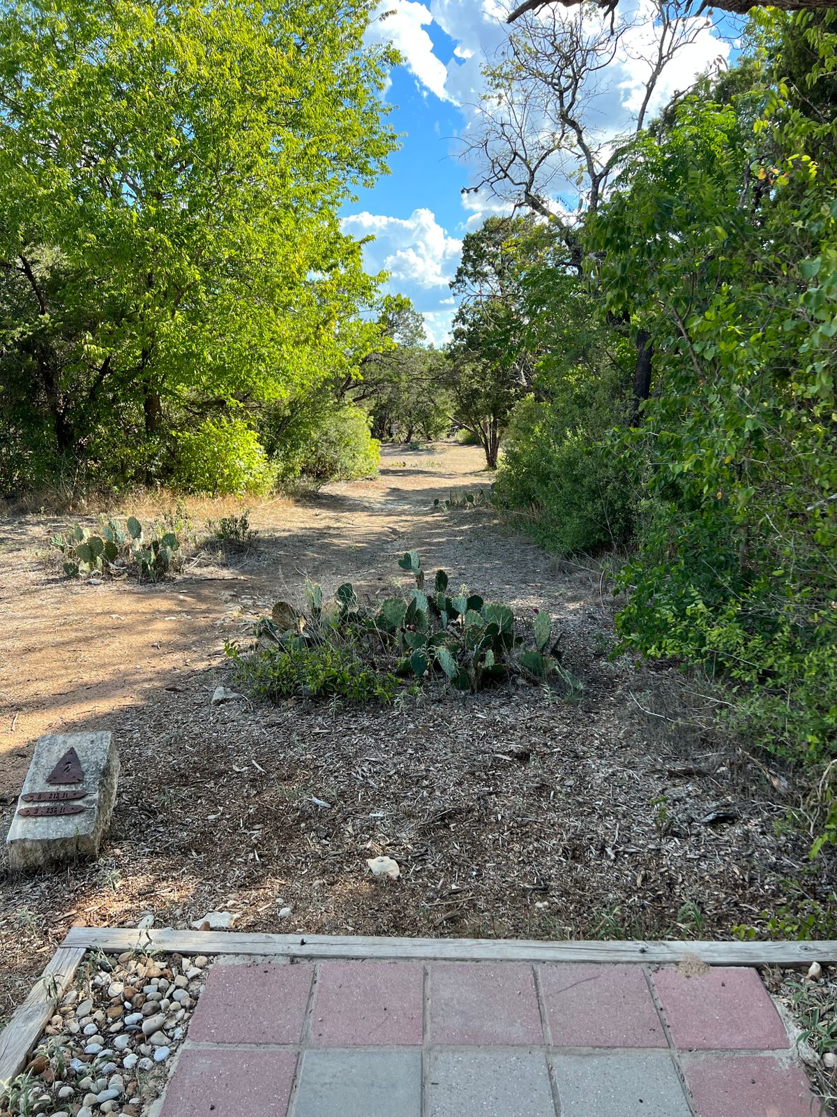 Hole #2 Main Tee