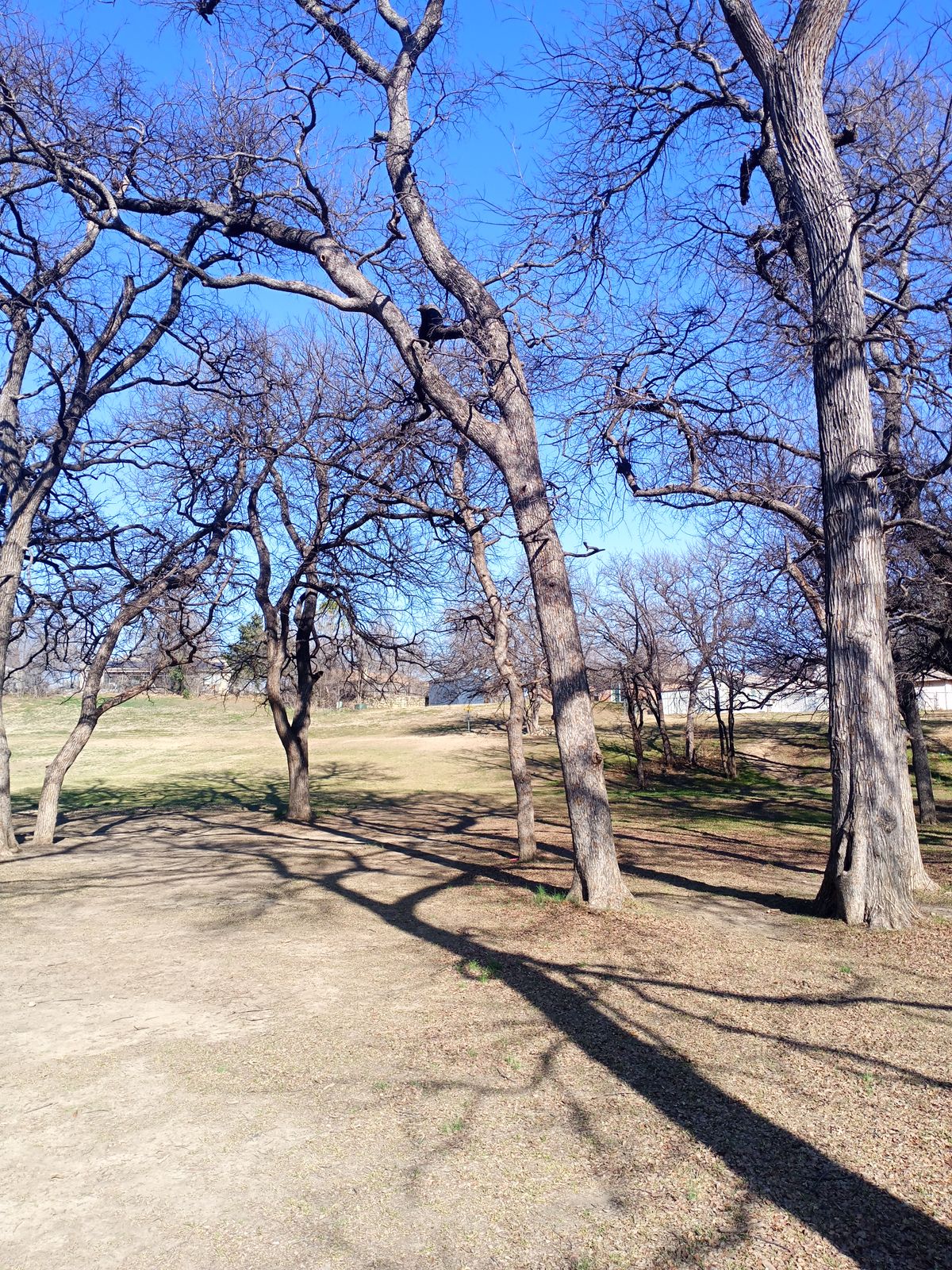 Hole 3