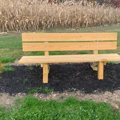Hole 12 bench