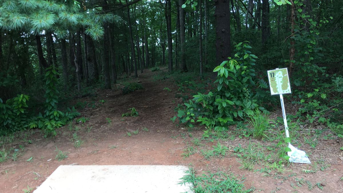 Hole 17