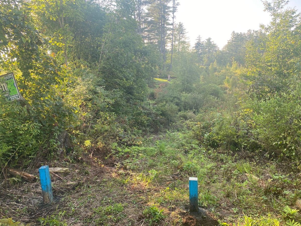 Hole 8 Tee Box