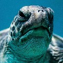 User avatar image