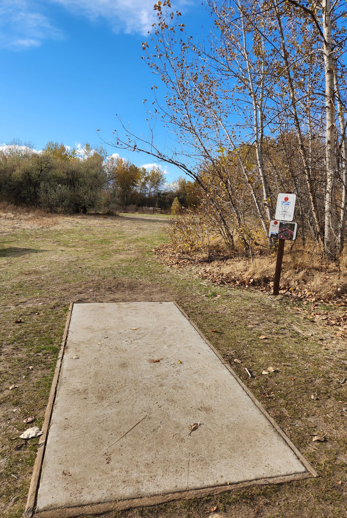 Tee Pad #12