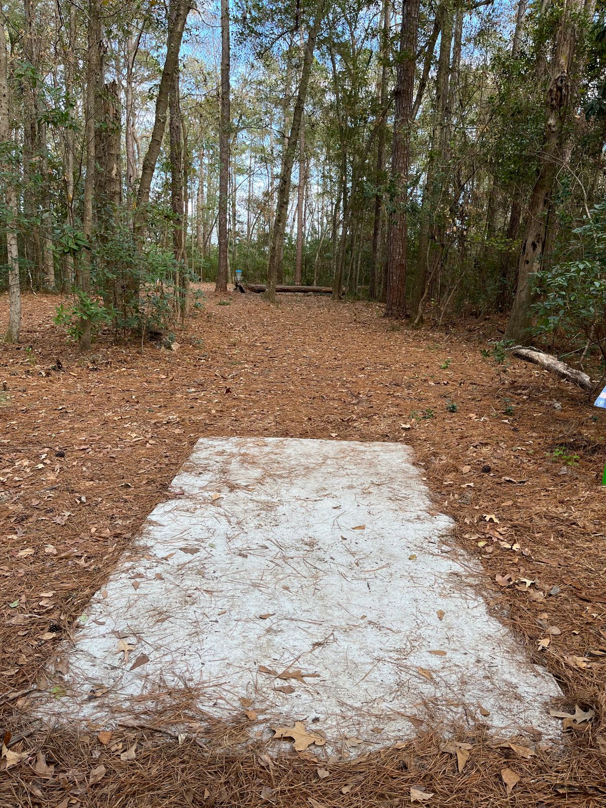 Hole 7 (short)