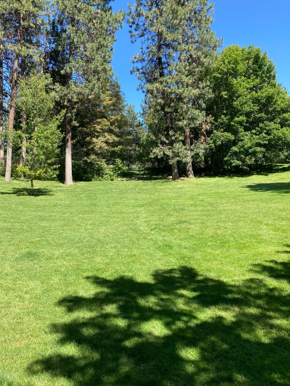 Hole 1 fairway