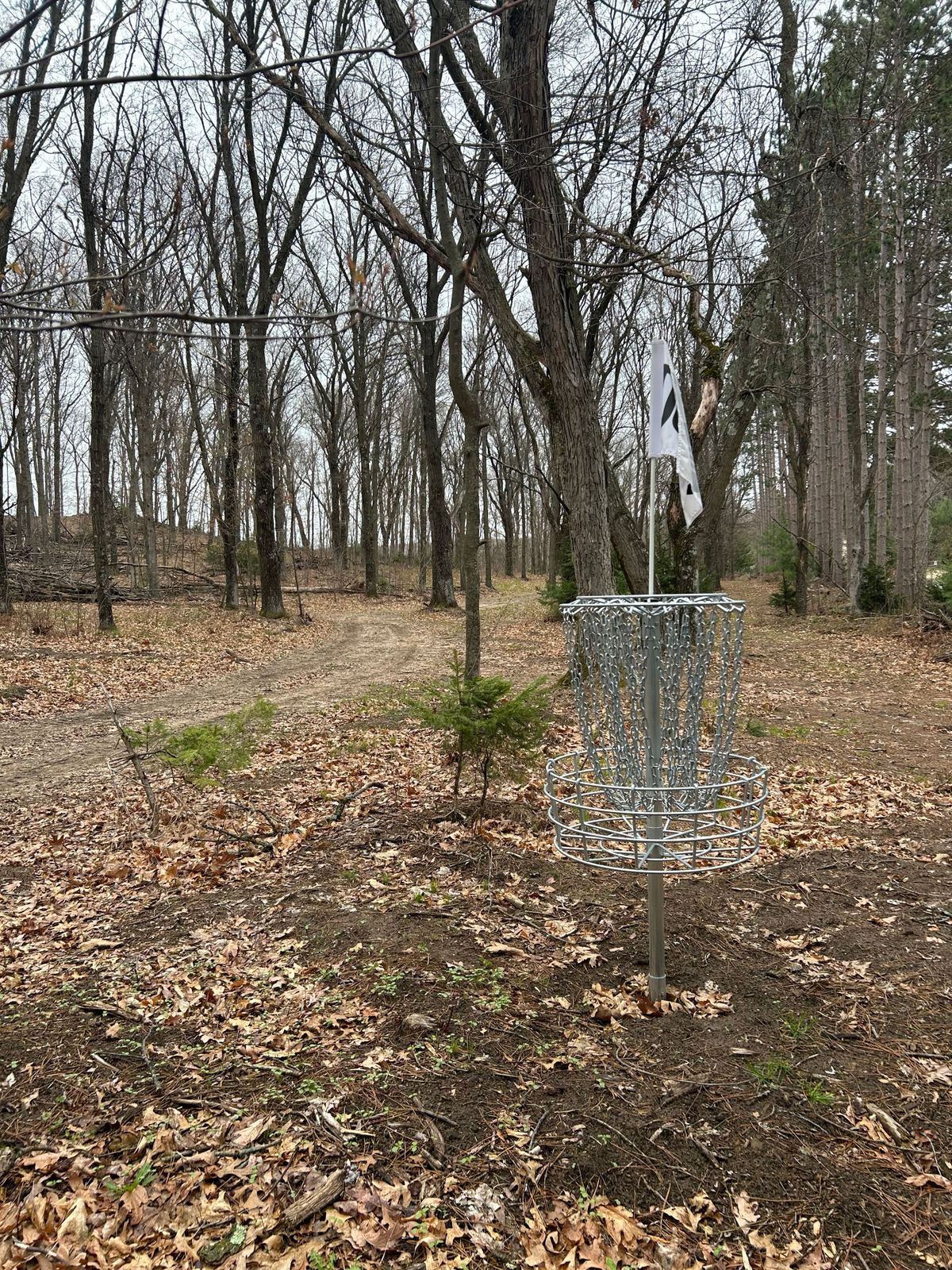 Hole 1 looking back towards fairway