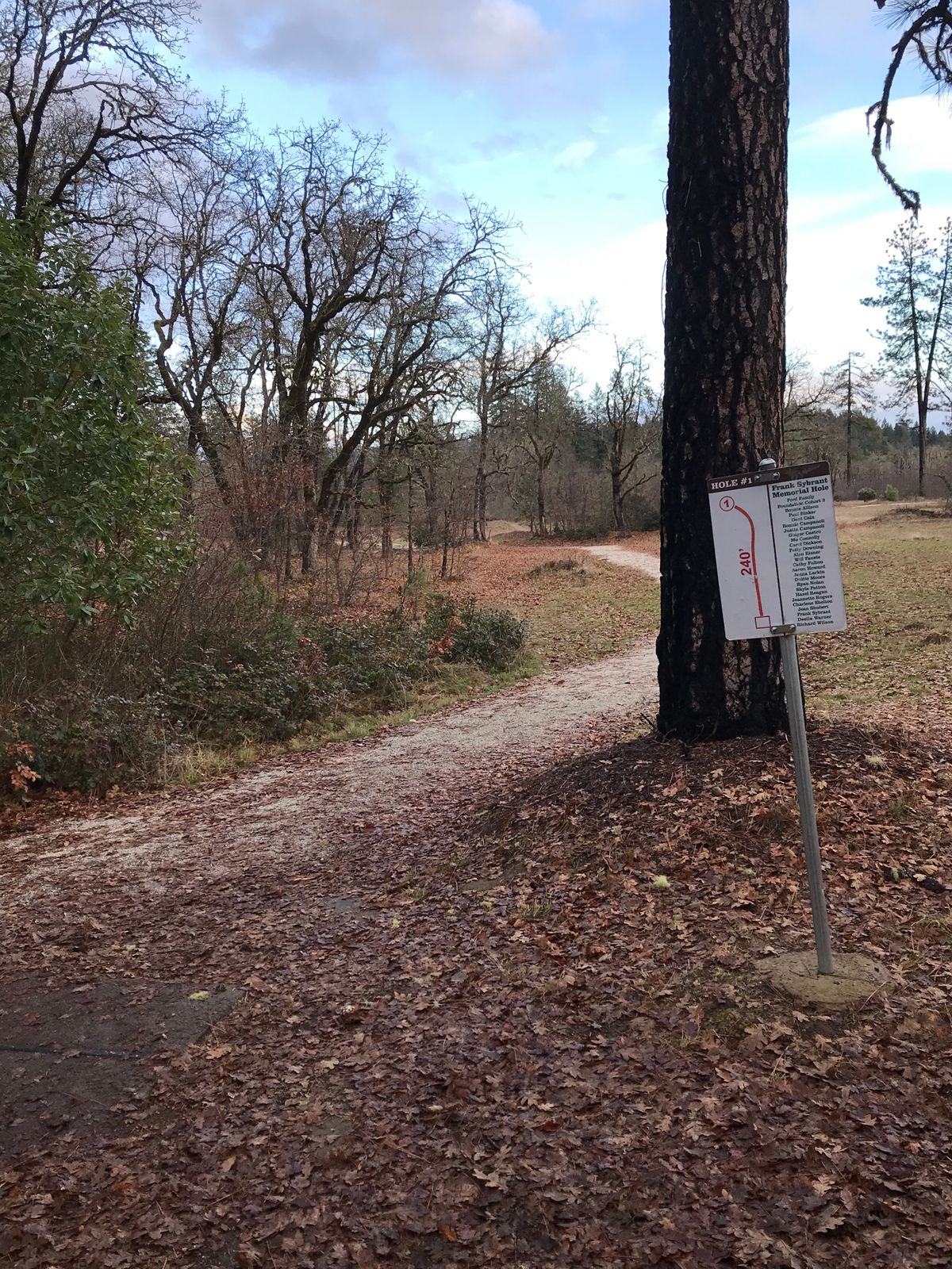 Tee 1