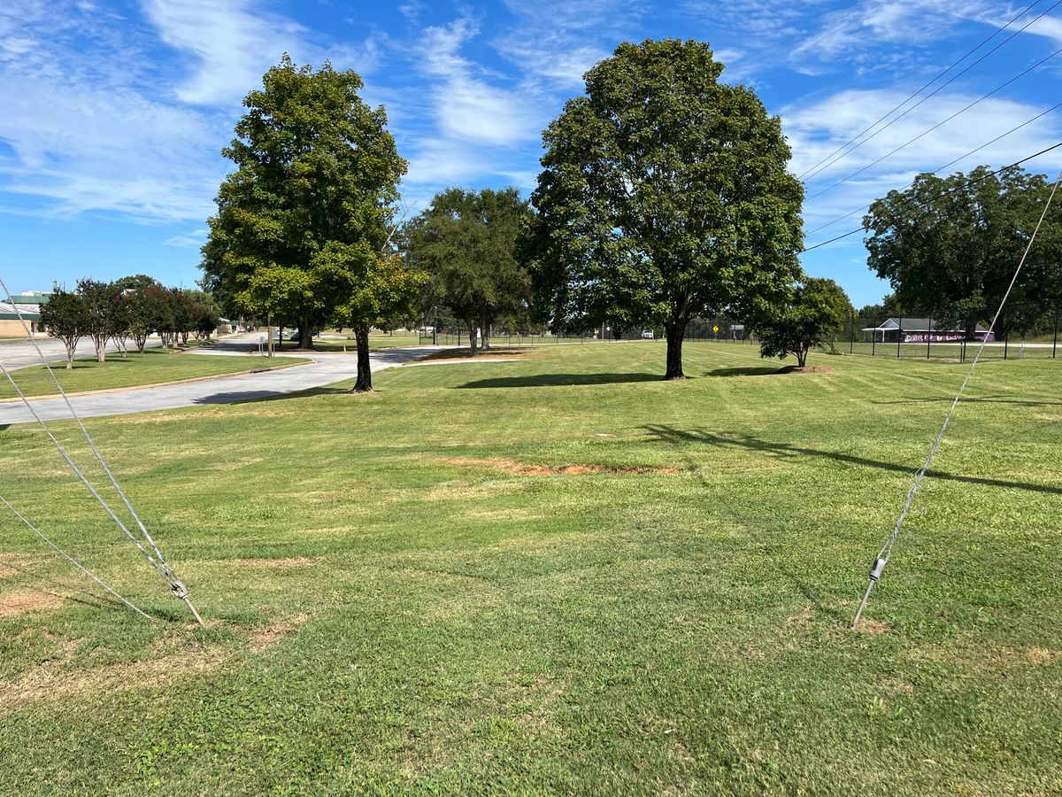 Hole 5 tee box is between two guide wires. Throw straight between large trees.
