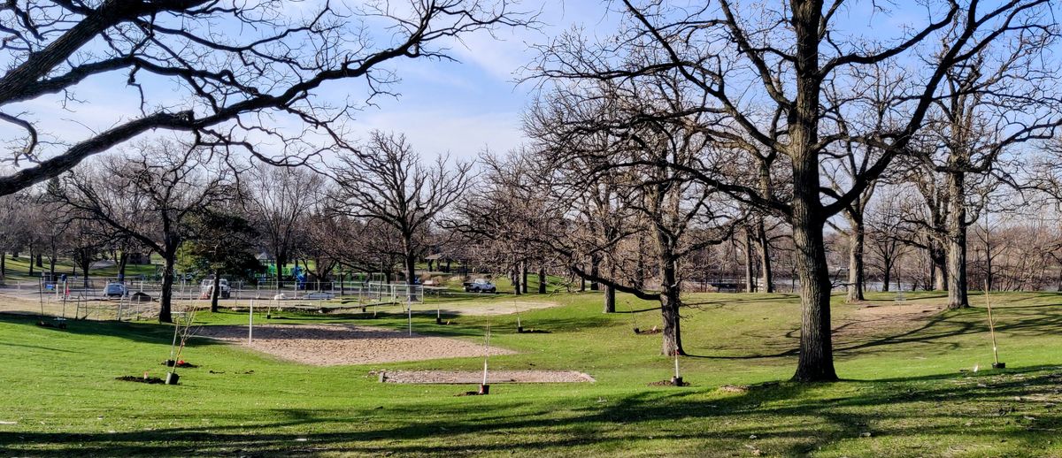 New trees looking down from the teepad on 5.