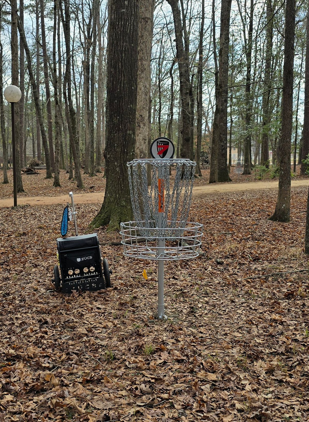 Hole 7 basket location
