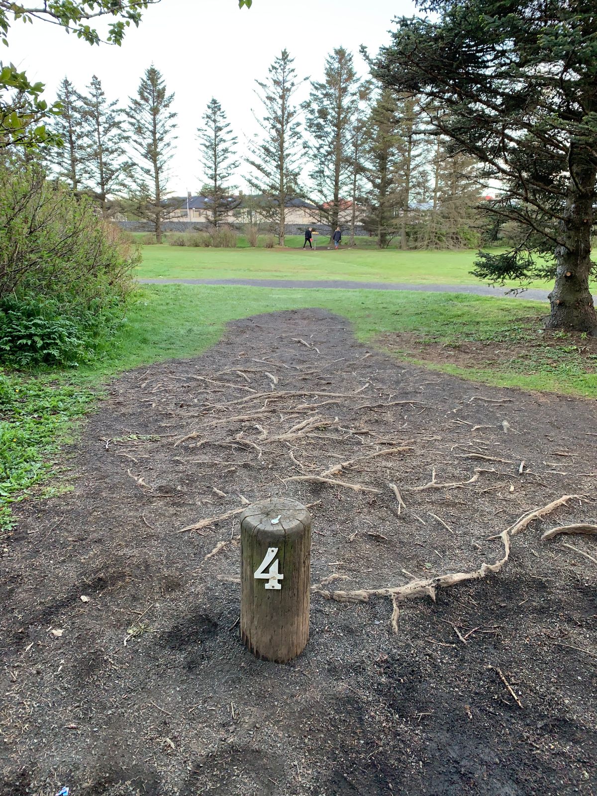 4th Hole