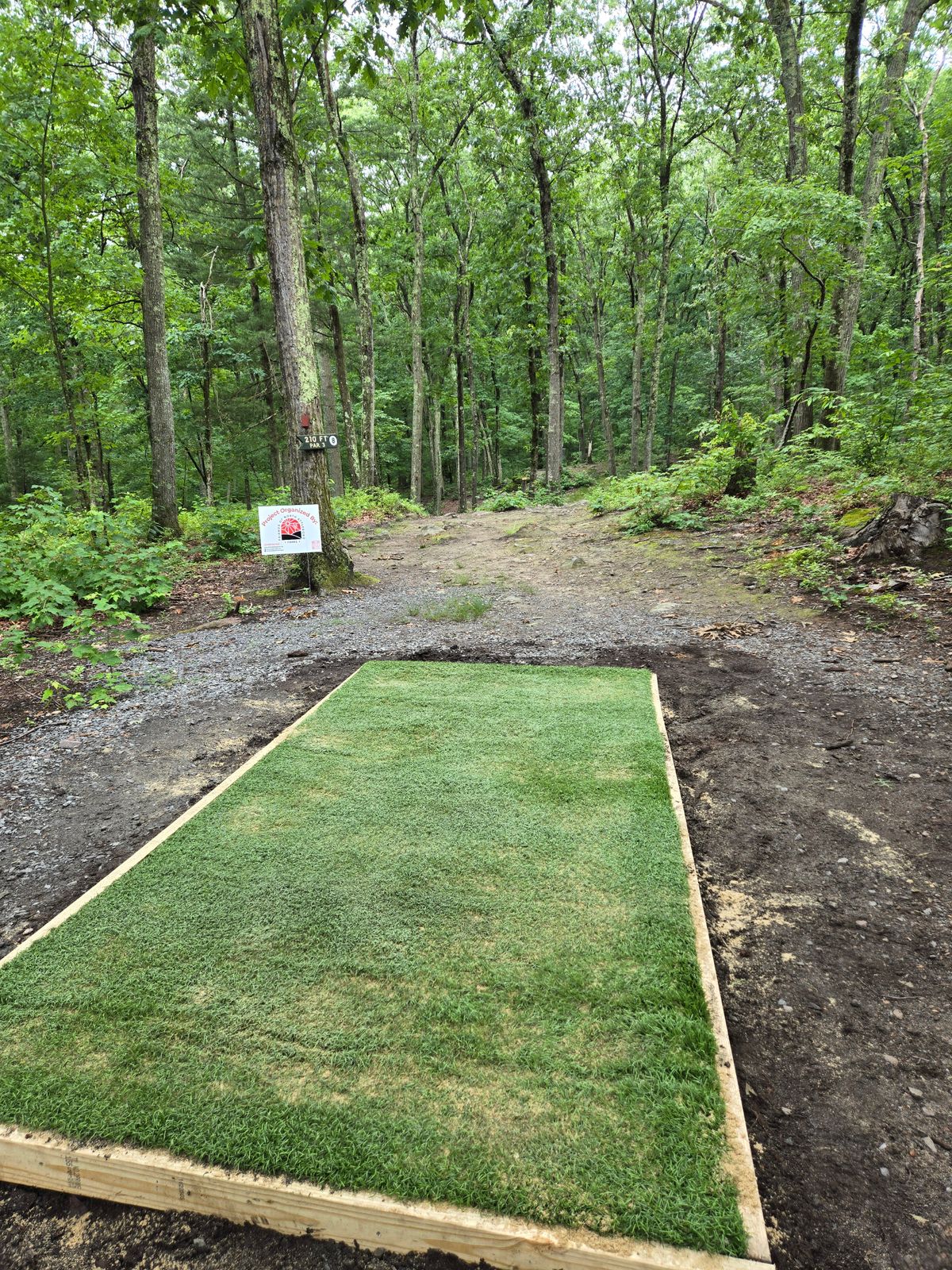 Hole 8