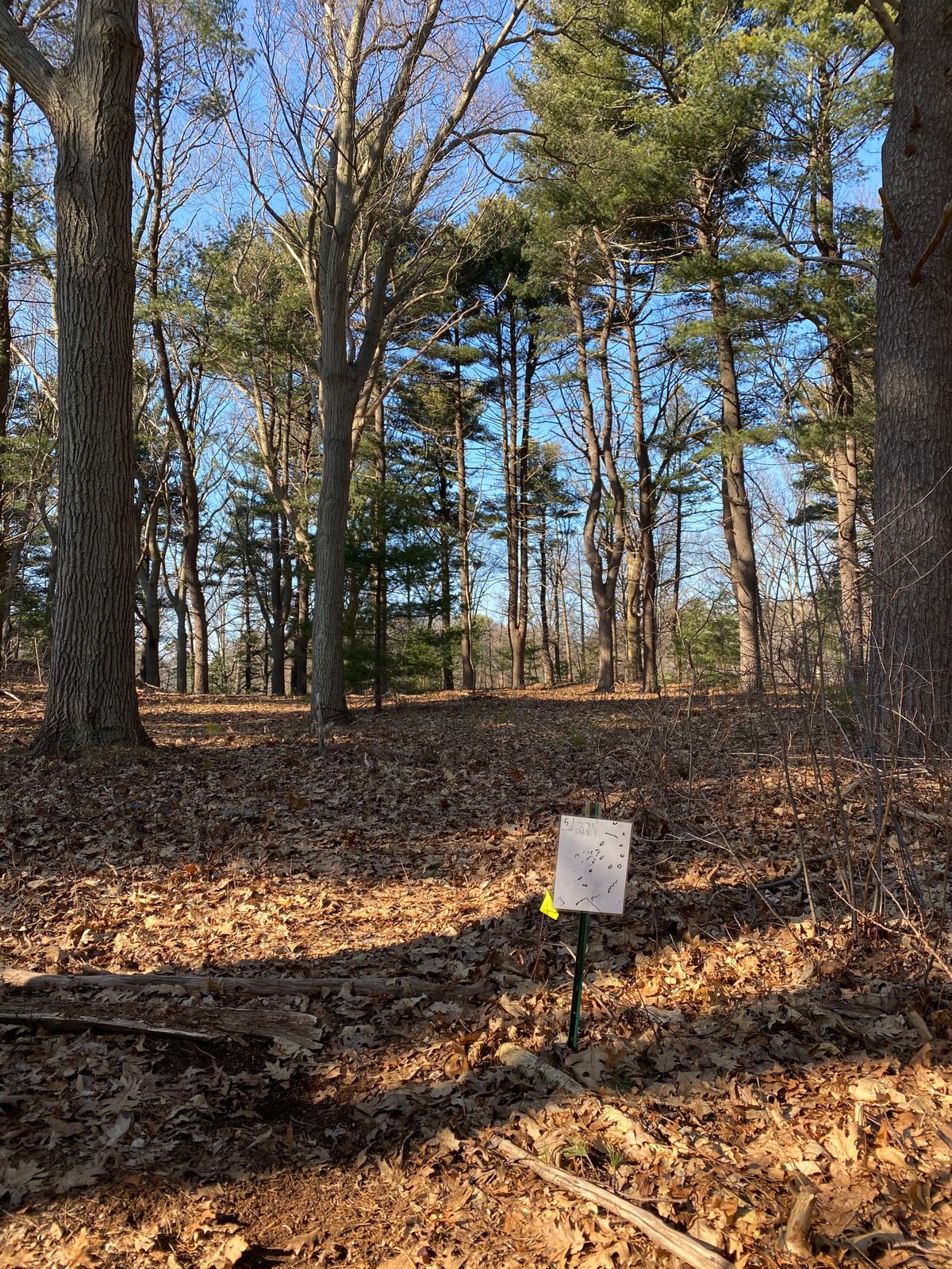 Hole 5