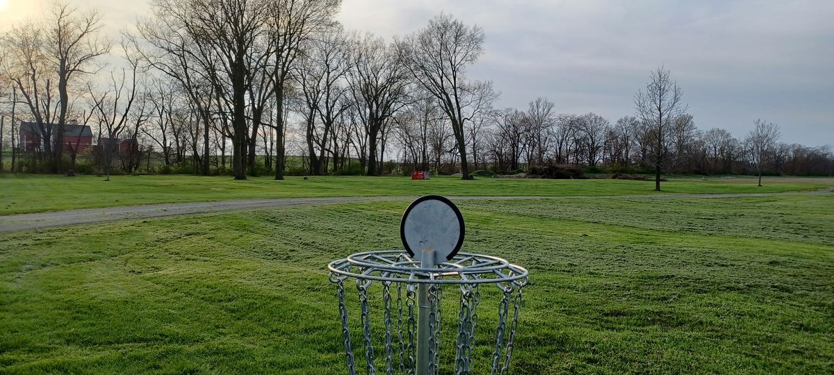 Basket 08 looking back to Tee