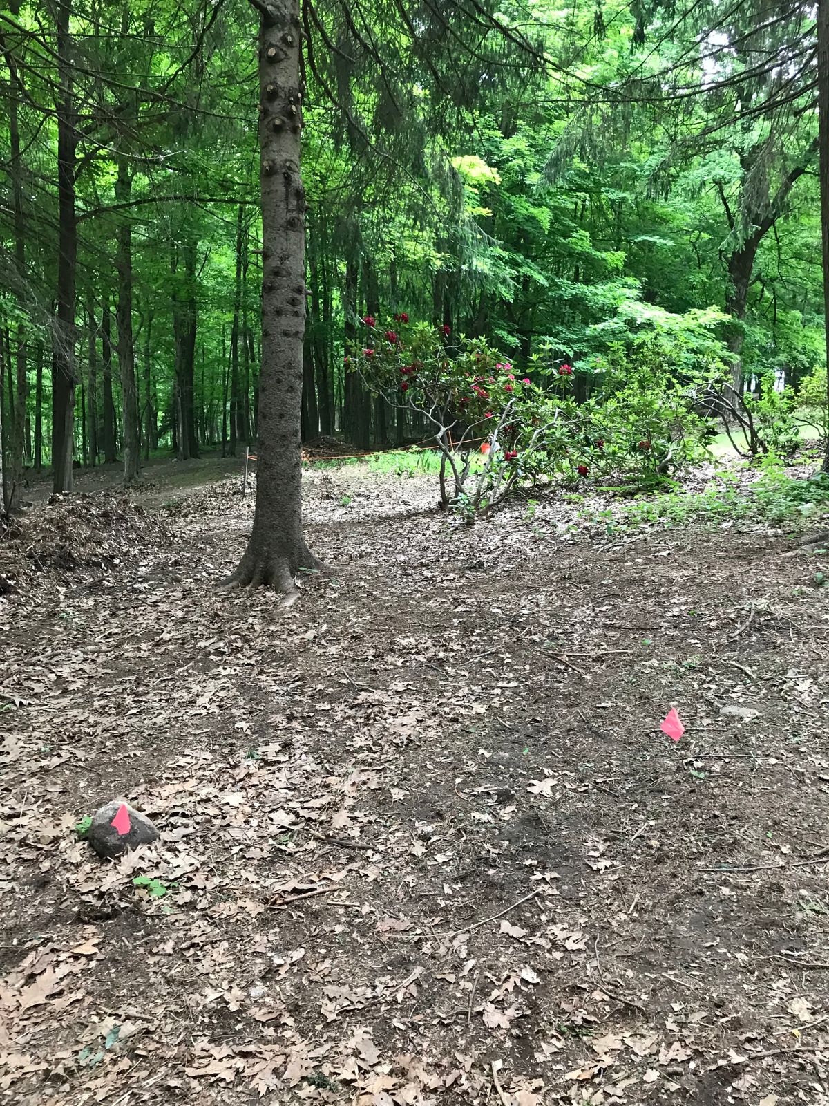 Tee 4