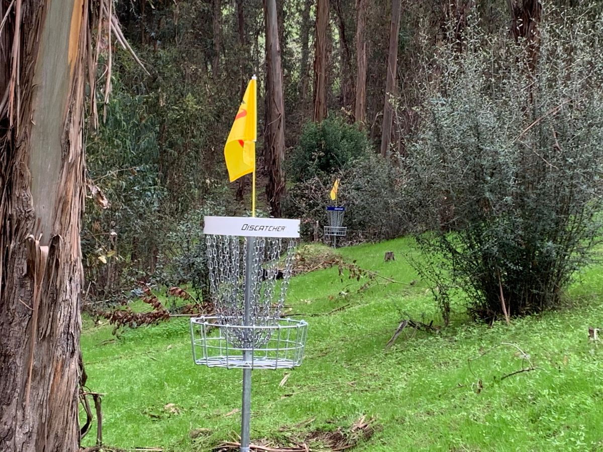 Hole 9 short up against a tree with hole 10 (1 long) on the valley slope