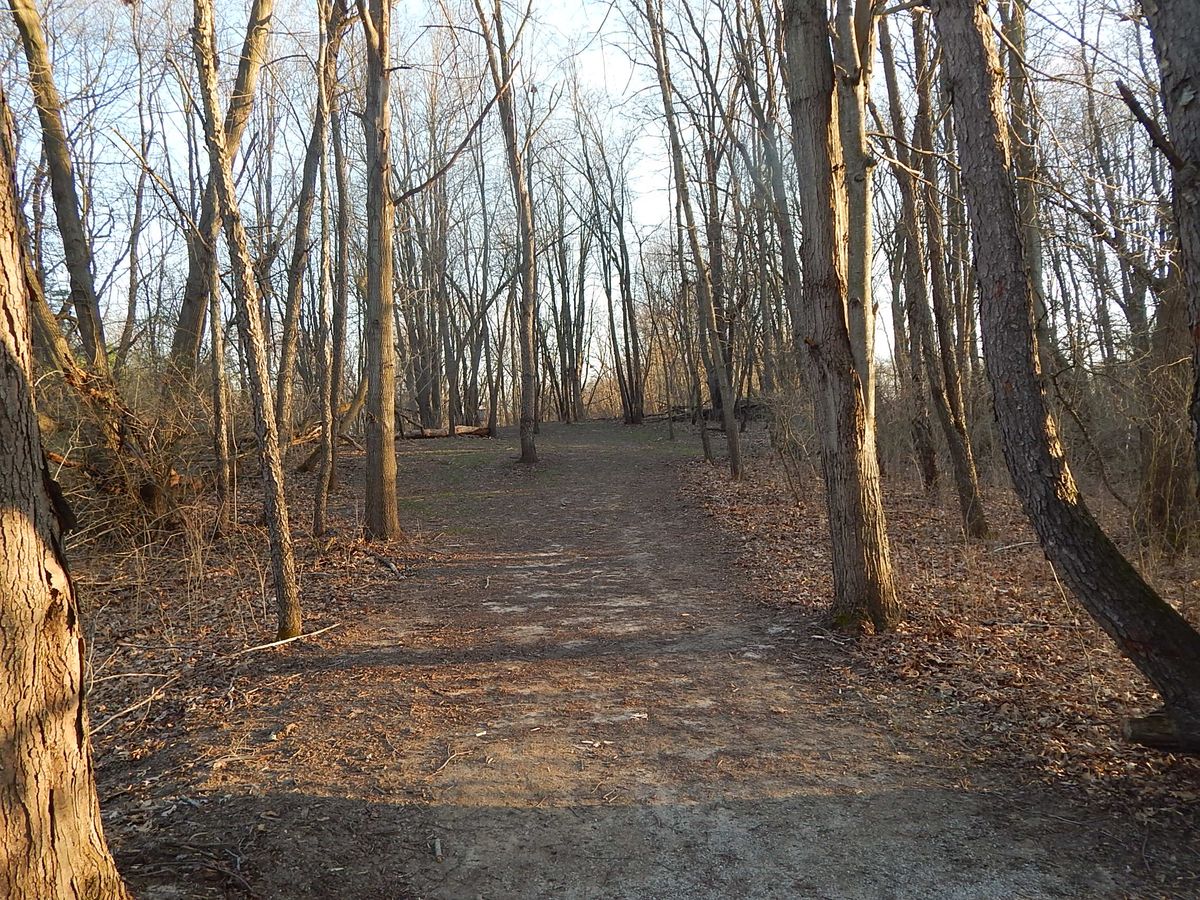 Hole 10 fairway, basket uphill slightly to the left