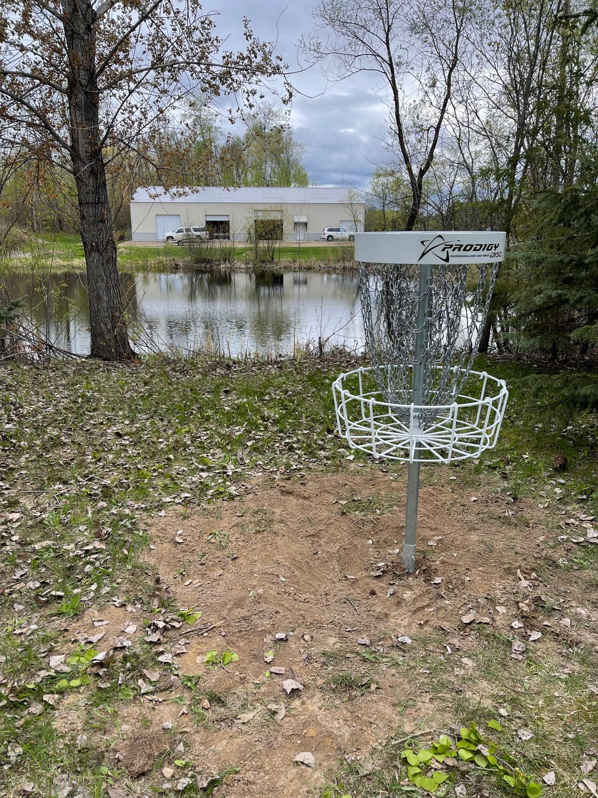 Hole 16 basket