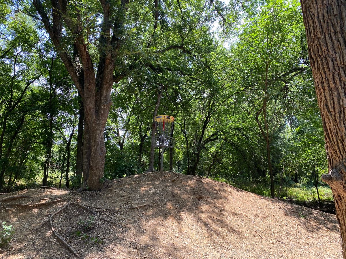 Hole 11 Basket