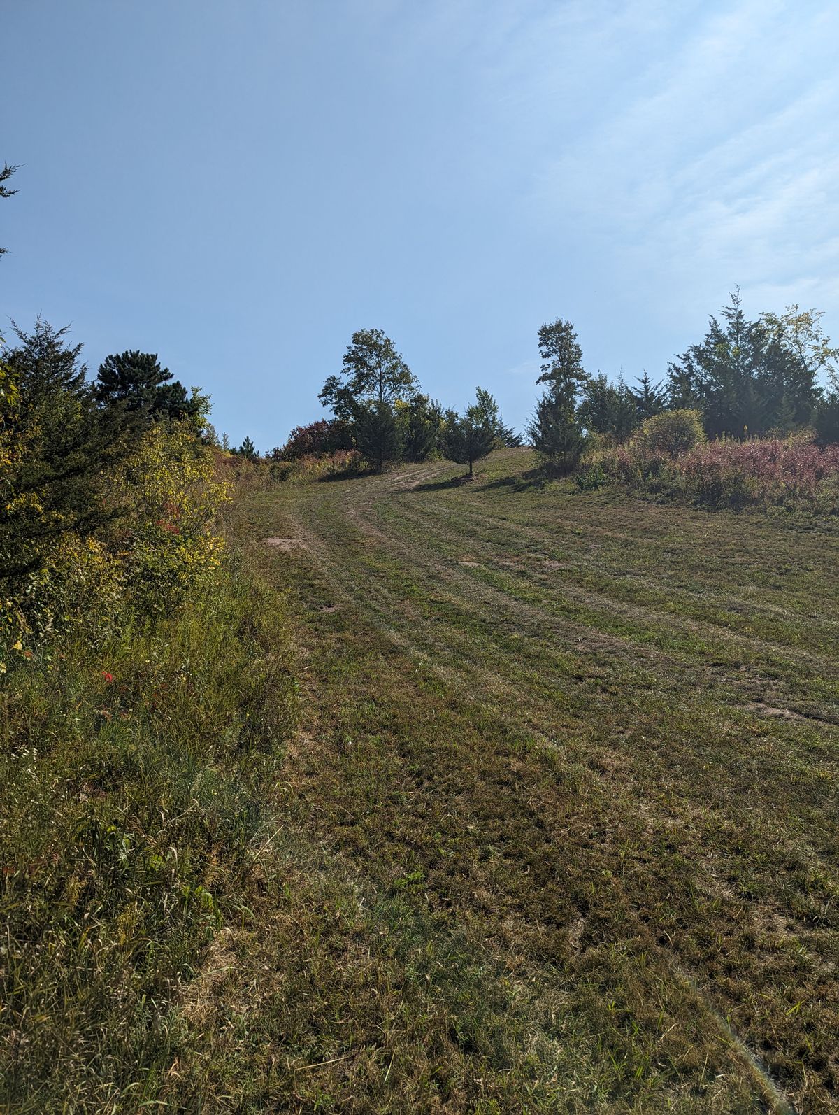 Fairway to Long Basket