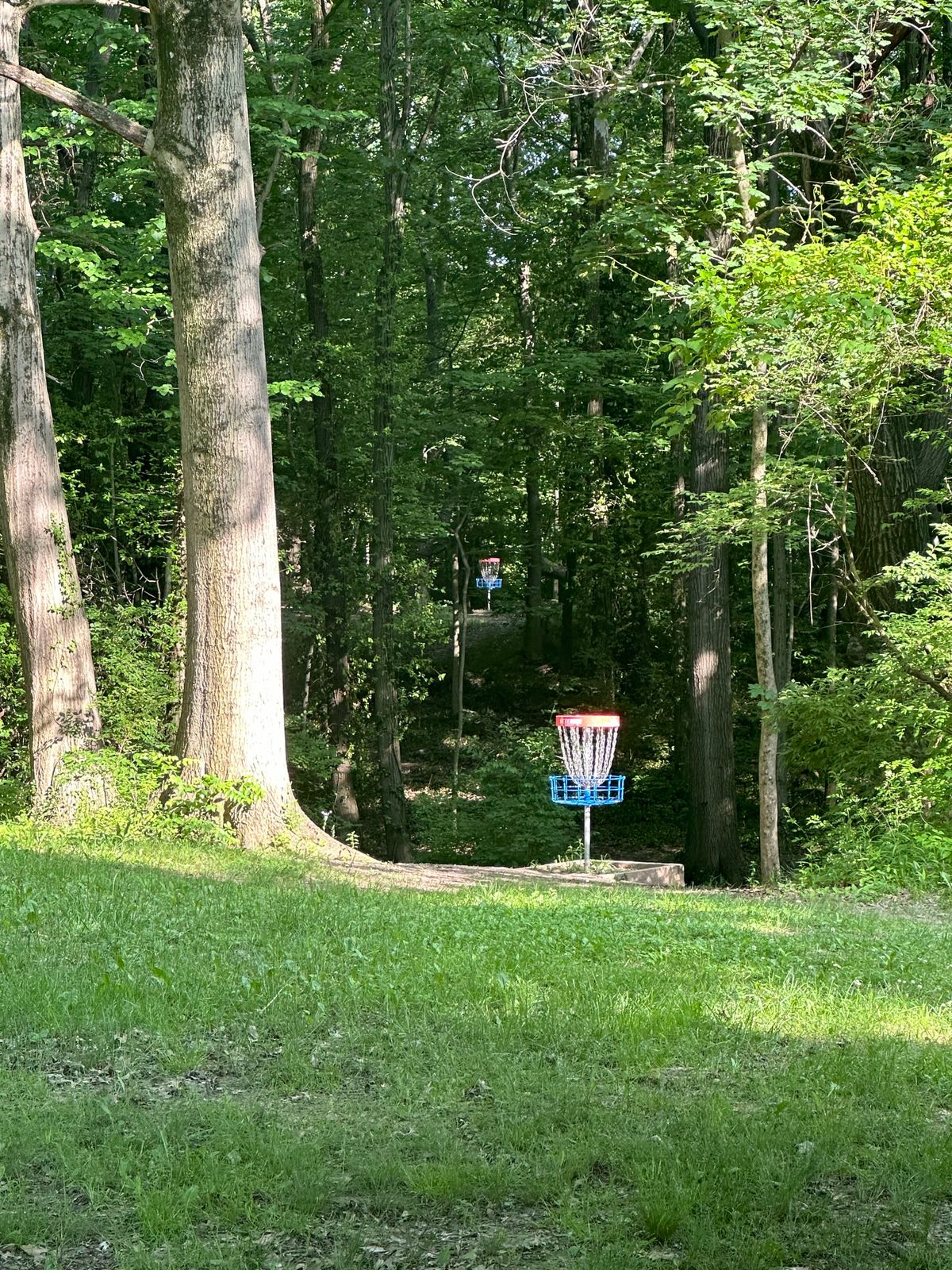 16 (foreground) and 15 (background) baskets from the tee pad of 13.