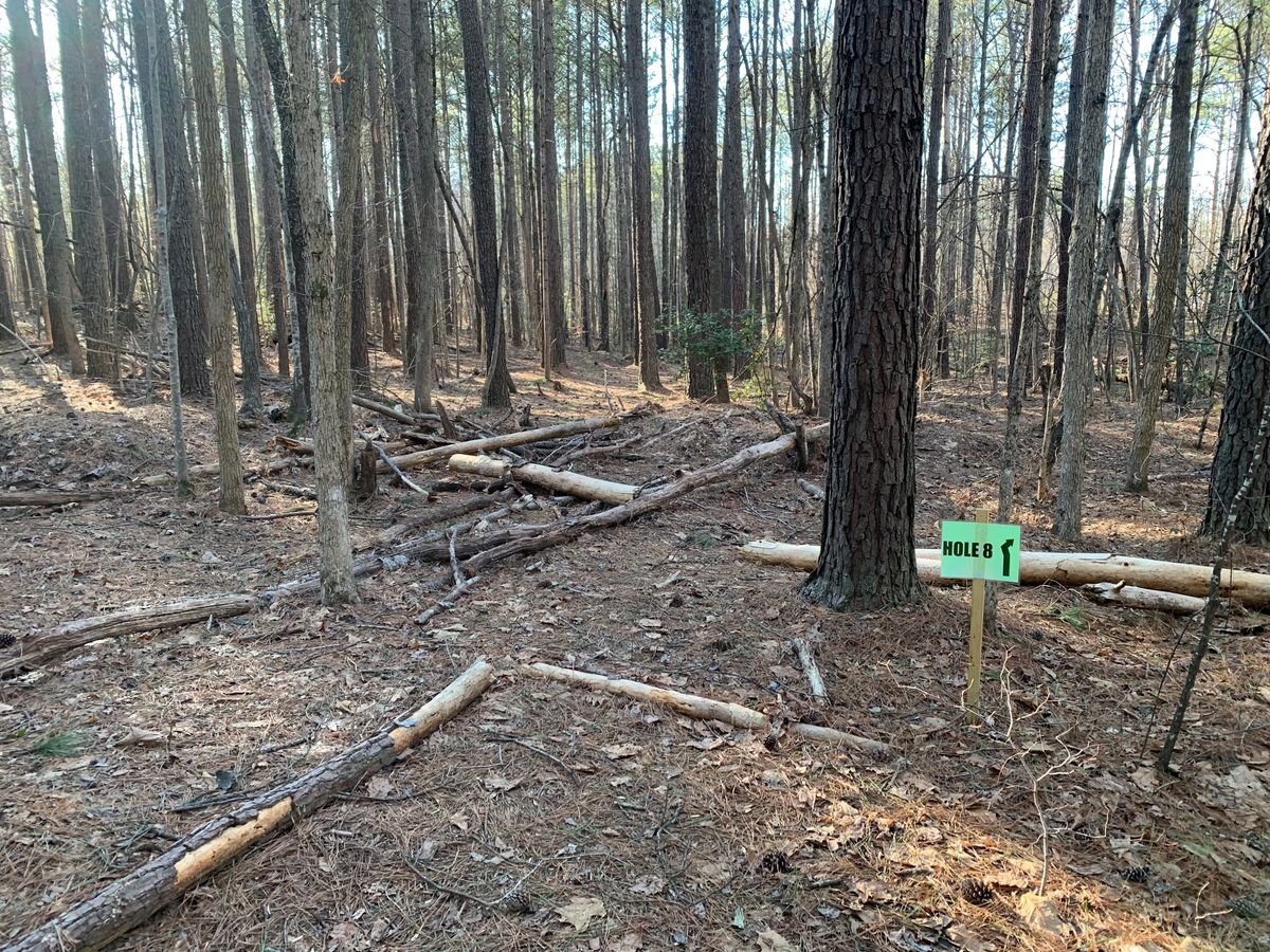 Hole 8 tee area